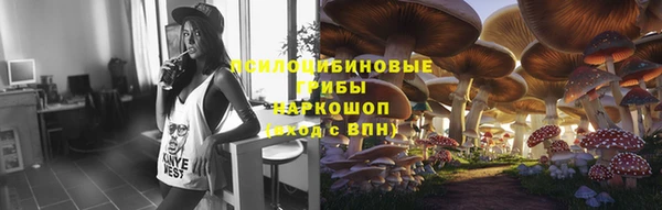 а пвп мука Алзамай