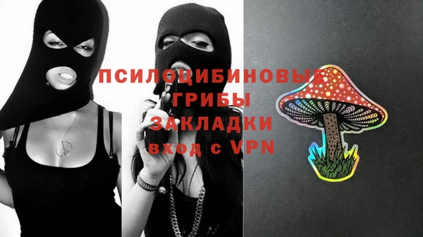 не бодяженный Алексин